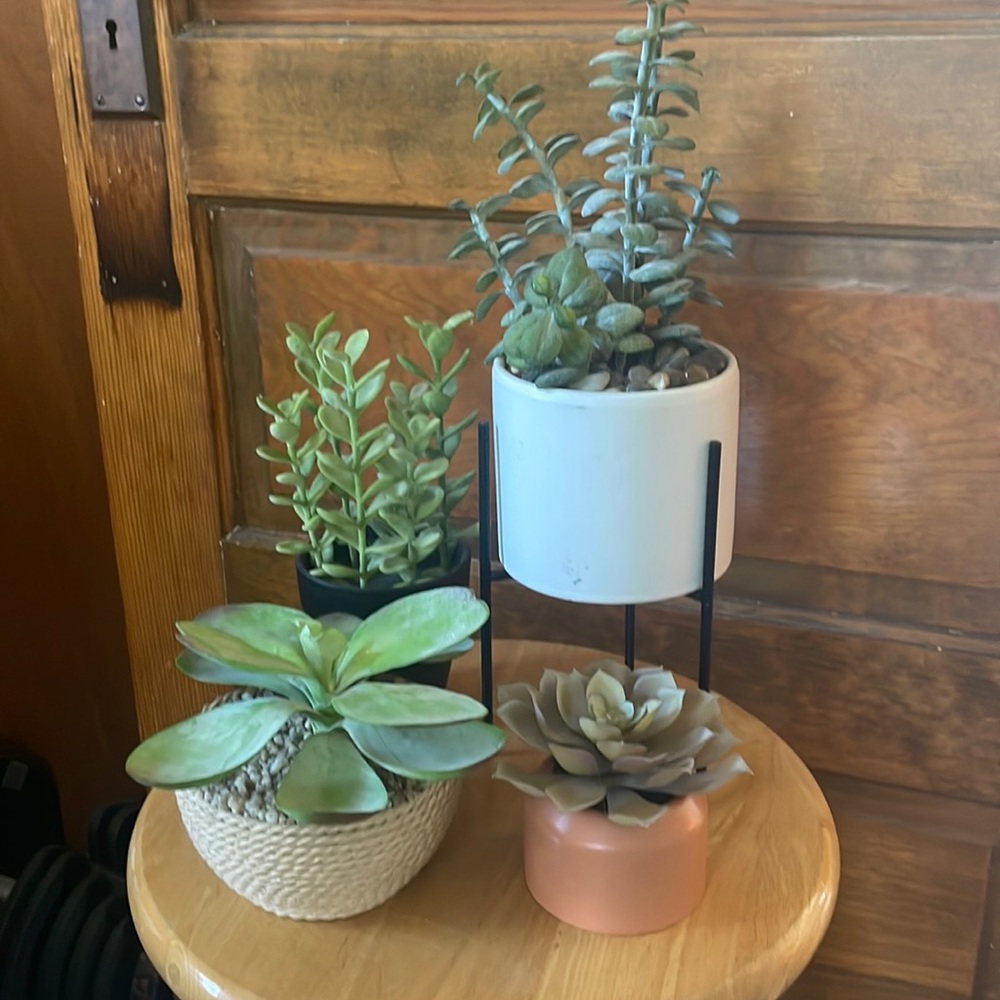 Faux Greenery Decor Bundle